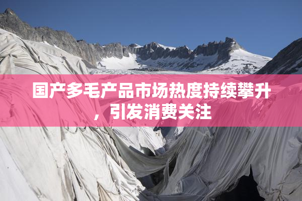 国产多毛产品市场热度持续攀升，引发消费关注