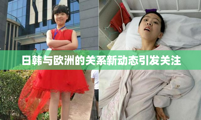 日韩与欧洲的关系新动态引发关注