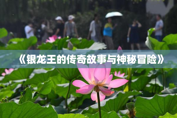 《银龙王的传奇故事与神秘冒险》