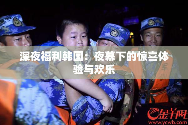 深夜福利韩国：夜幕下的惊喜体验与欢乐
