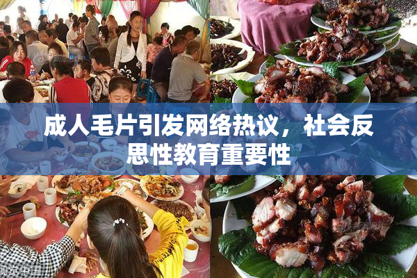 成人毛片引发网络热议，社会反思性教育重要性