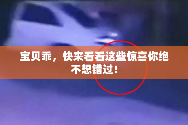 宝贝乖，快来看看这些惊喜你绝不想错过！