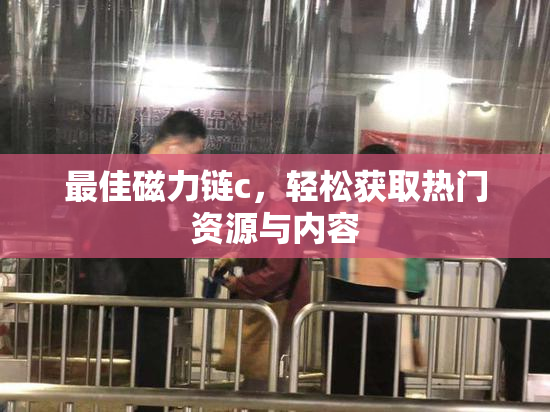 最佳磁力链c，轻松获取热门资源与内容