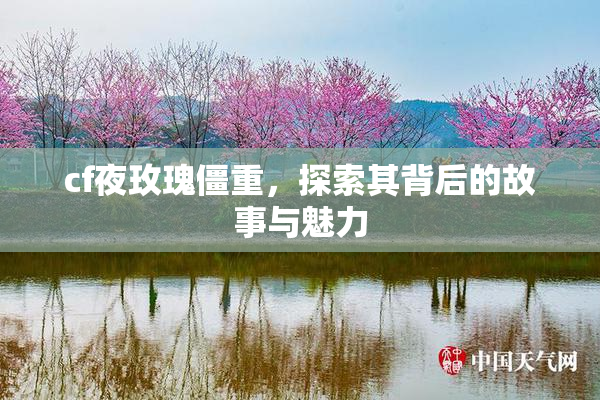 cf夜玫瑰僵重，探索其背后的故事与魅力