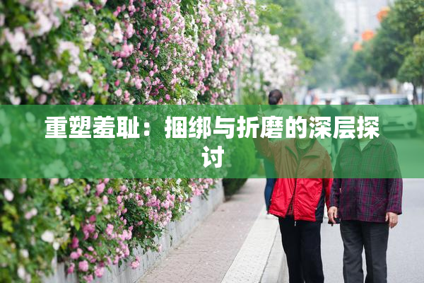 重塑羞耻：捆绑与折磨的深层探讨