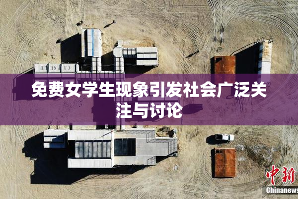 免费女学生现象引发社会广泛关注与讨论