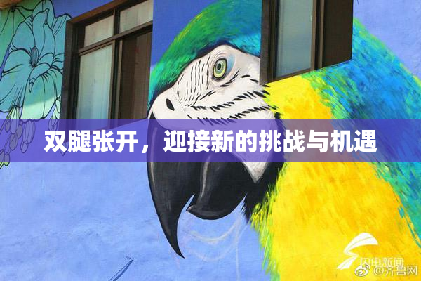 双腿张开，迎接新的挑战与机遇