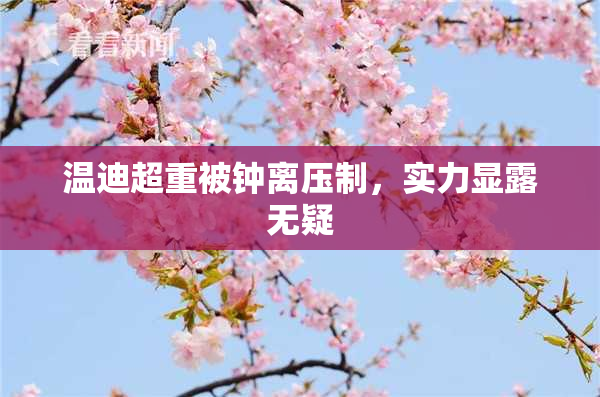 温迪超重被钟离压制，实力显露无疑