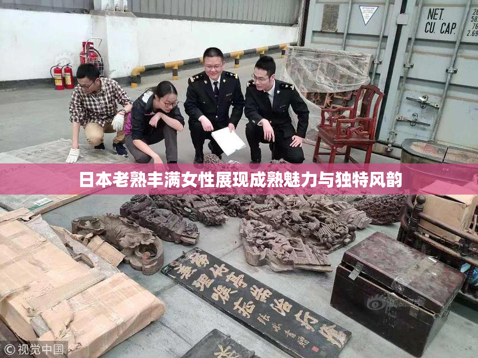 日本老熟丰满女性展现成熟魅力与独特风韵