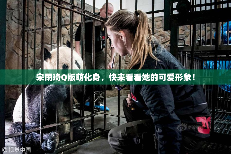 宋雨琦Q版萌化身，快来看看她的可爱形象！
