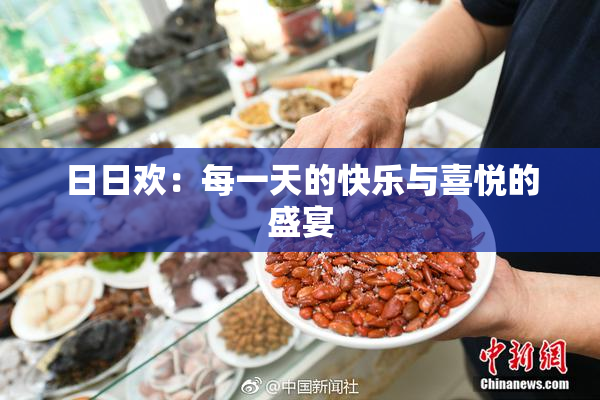 日日欢：每一天的快乐与喜悦的盛宴