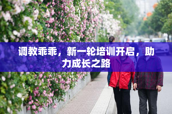 调教乖乖，新一轮培训开启，助力成长之路