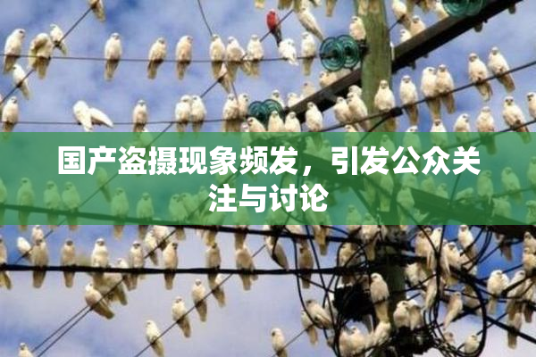 国产盗摄现象频发，引发公众关注与讨论