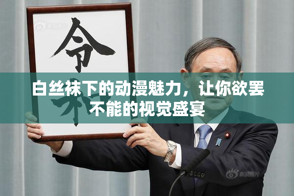 白丝袜下的动漫魅力，让你欲罢不能的视觉盛宴
