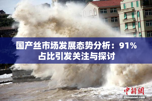 国产丝市场发展态势分析：91%占比引发关注与探讨