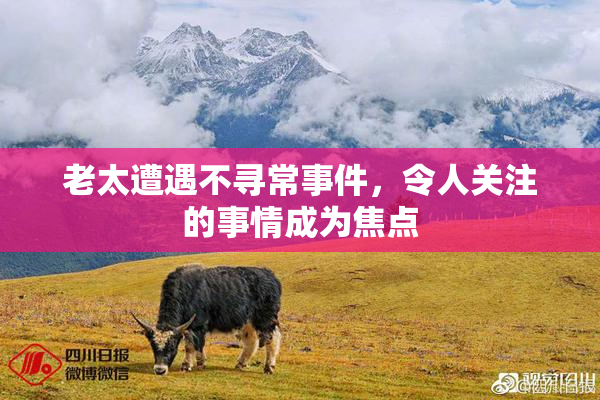 老太遭遇不寻常事件，令人关注的事情成为焦点