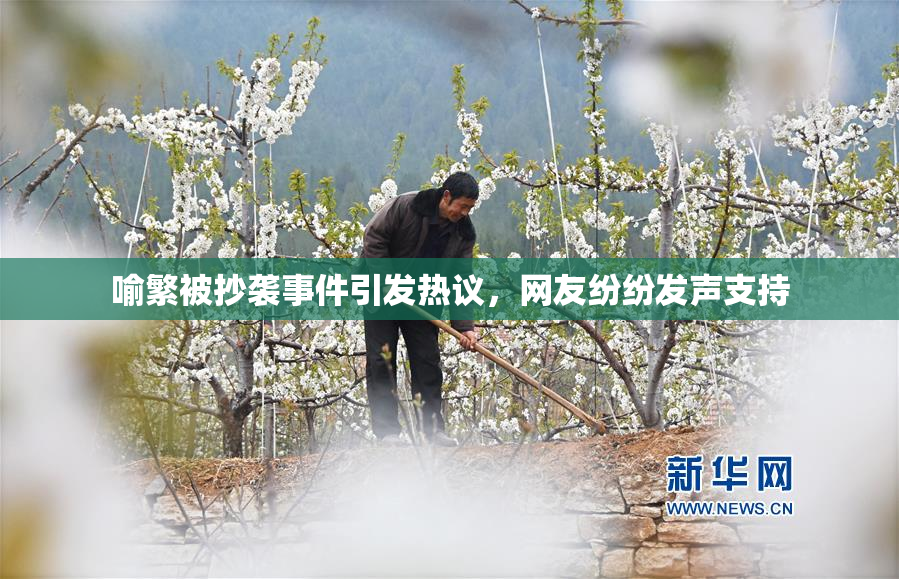 喻繁被抄袭事件引发热议，网友纷纷发声支持