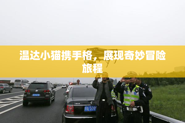 温达小猫携手格，展现奇妙冒险旅程