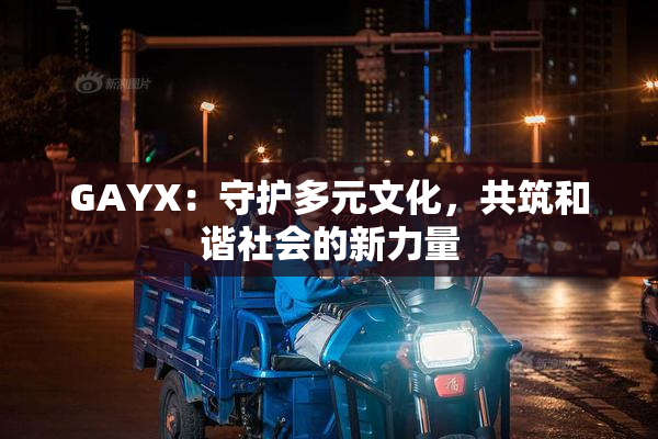 GAYX：守护多元文化，共筑和谐社会的新力量