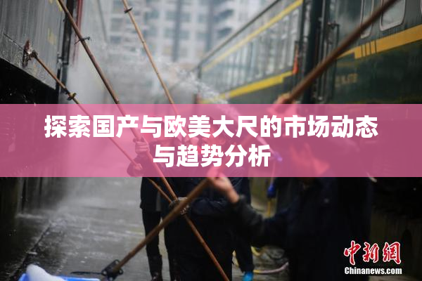 探索国产与欧美大尺的市场动态与趋势分析