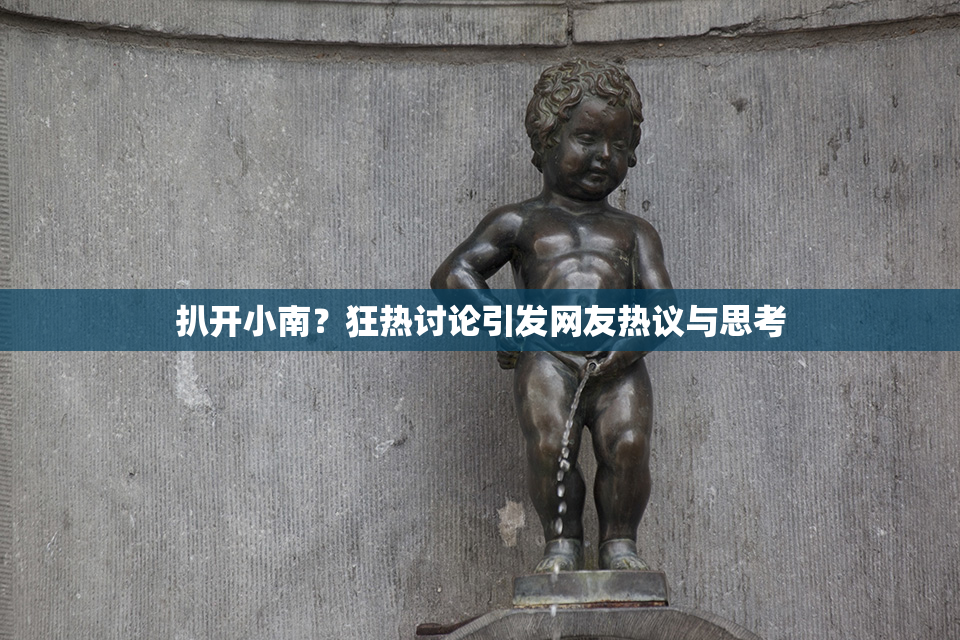 扒开小南？狂热讨论引发网友热议与思考