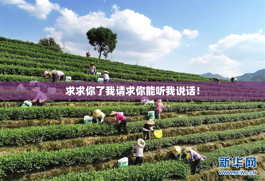 求求你了我请求你能听我说话！