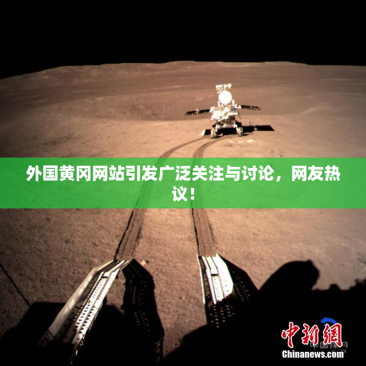 外国黄冈网站引发广泛关注与讨论，网友热议！