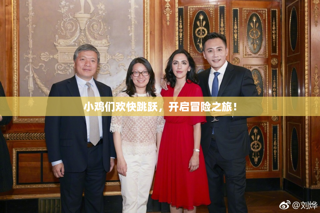 小鸡们欢快跳跃，开启冒险之旅！