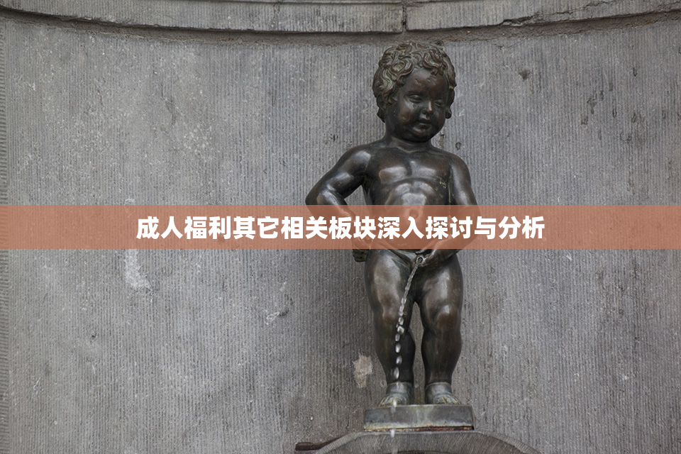 成人福利其它相关板块深入探讨与分析