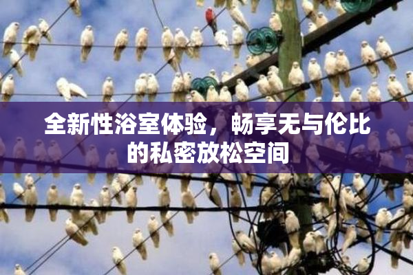 全新性浴室体验，畅享无与伦比的私密放松空间