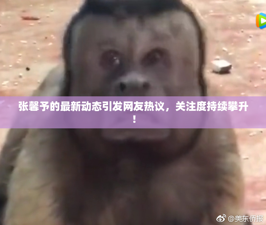 张馨予的最新动态引发网友热议，关注度持续攀升！