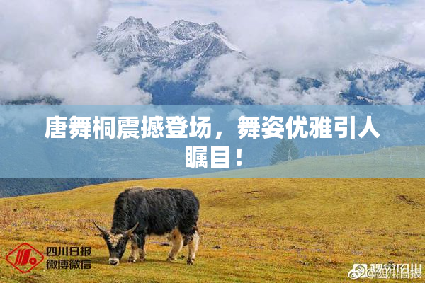 唐舞桐震撼登场，舞姿优雅引人瞩目！