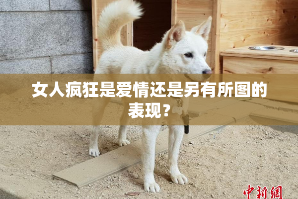 女人疯狂是爱情还是另有所图的表现？