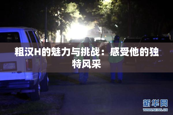 粗汉H的魅力与挑战：感受他的独特风采
