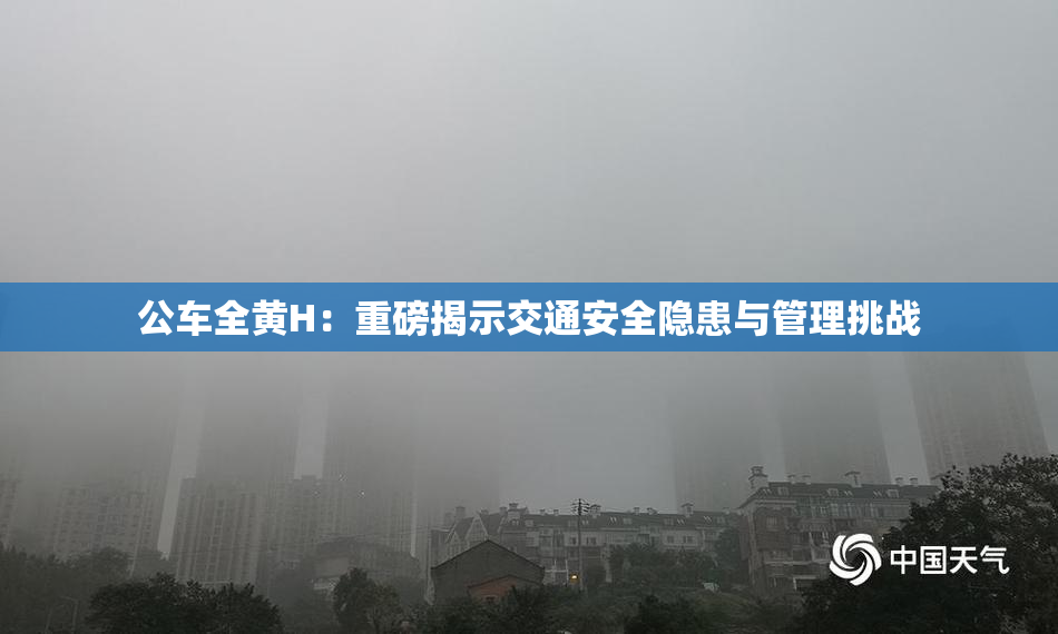 公车全黄H：重磅揭示交通安全隐患与管理挑战