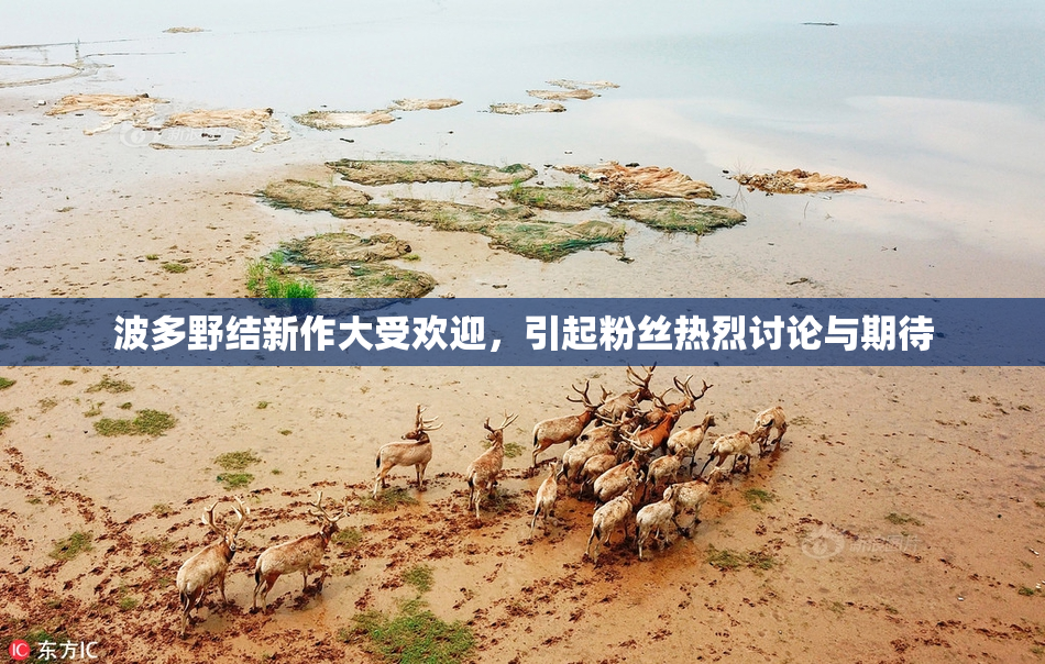 波多野结新作大受欢迎，引起粉丝热烈讨论与期待
