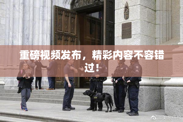 重磅视频发布，精彩内容不容错过！