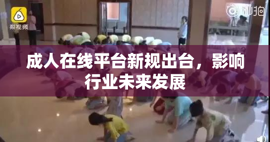 成人在线平台新规出台，影响行业未来发展