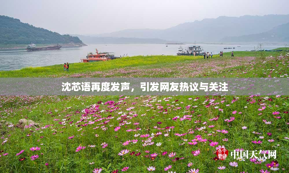 沈芯语再度发声，引发网友热议与关注
