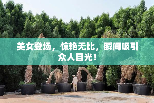 美女登场，惊艳无比，瞬间吸引众人目光！