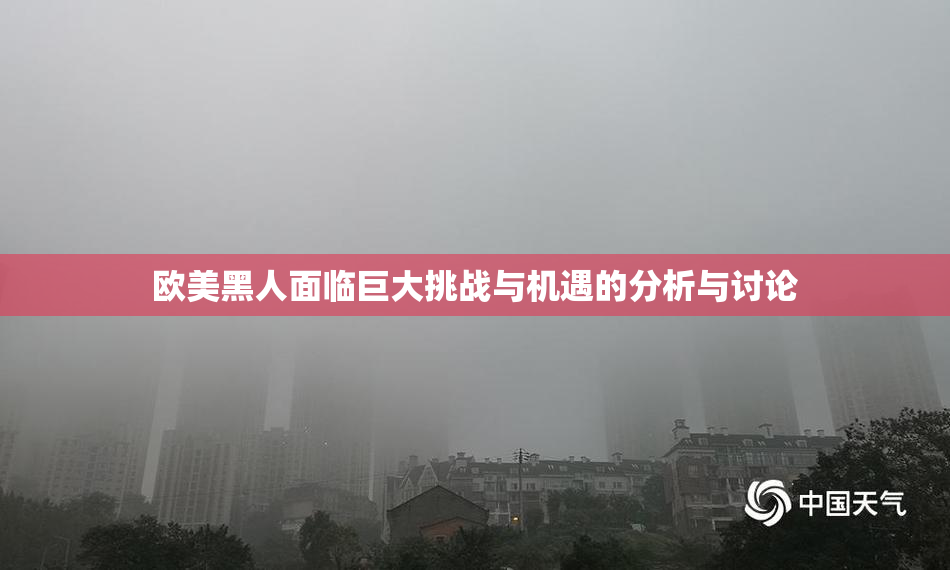 欧美黑人面临巨大挑战与机遇的分析与讨论
