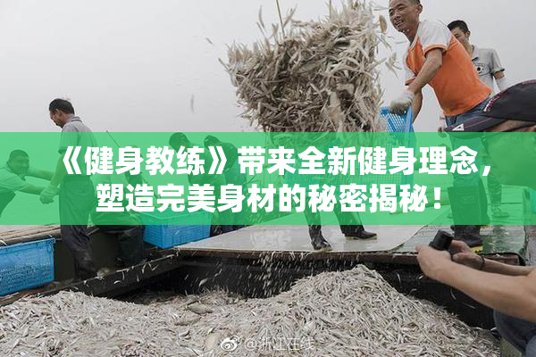 《健身教练》带来全新健身理念，塑造完美身材的秘密揭秘！