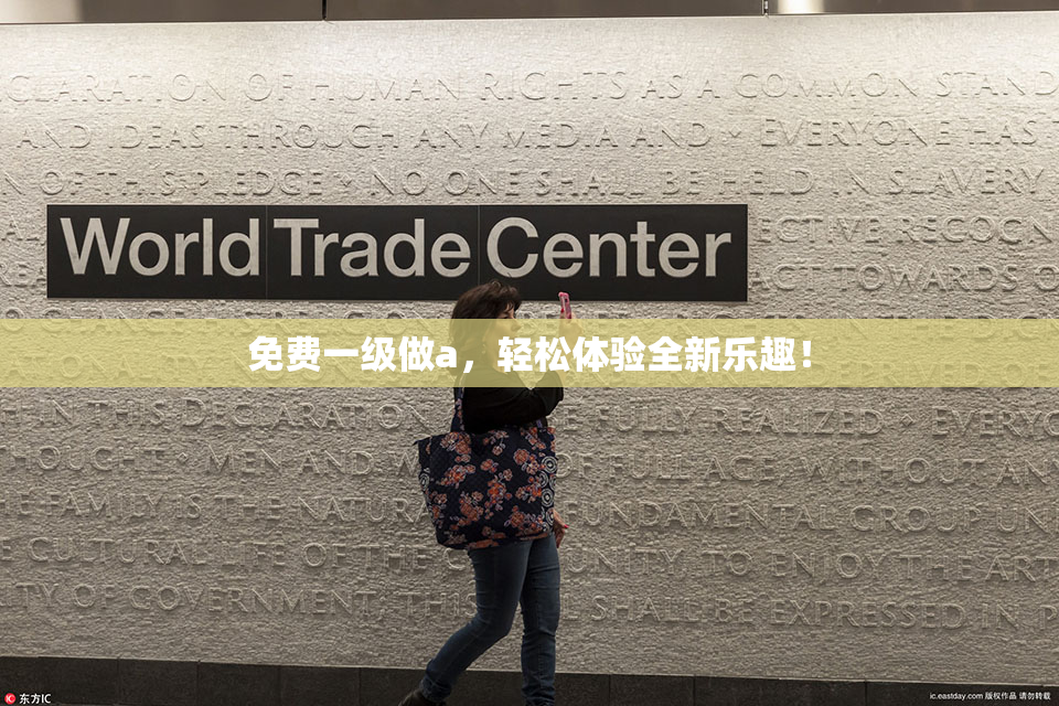 免费一级做a，轻松体验全新乐趣！