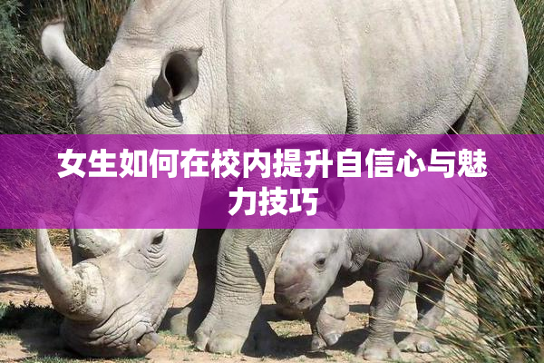 女生如何在校内提升自信心与魅力技巧