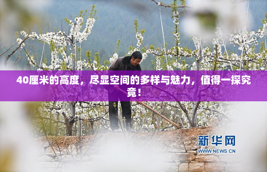 40厘米的高度，尽显空间的多样与魅力，值得一探究竟！