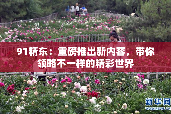 91精东：重磅推出新内容，带你领略不一样的精彩世界