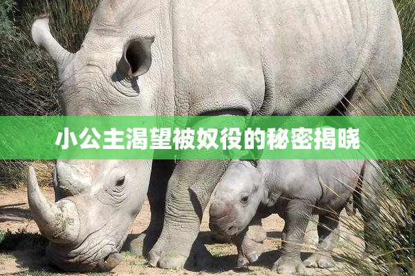 小公主渴望被奴役的秘密揭晓