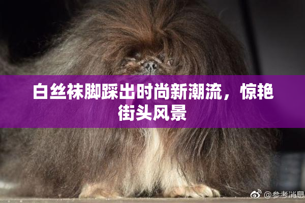 白丝袜脚踩出时尚新潮流，惊艳街头风景