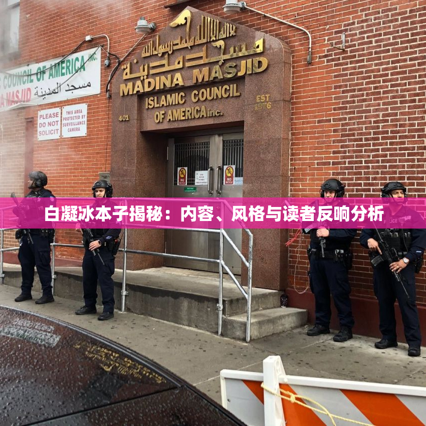 白凝冰本子揭秘：内容、风格与读者反响分析