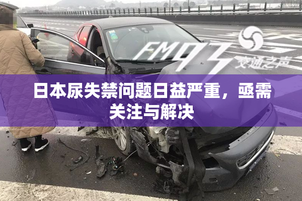 日本尿失禁问题日益严重，亟需关注与解决
